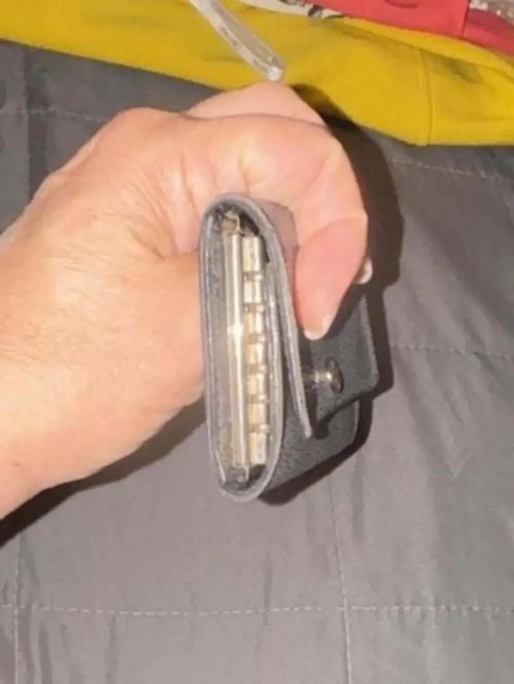 Louis Vuitton Damier Black Key Case